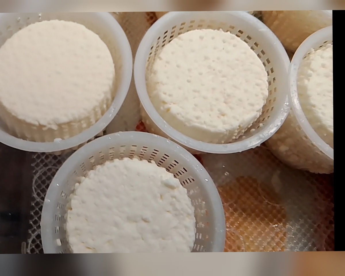 Производим только натуральные сыры...