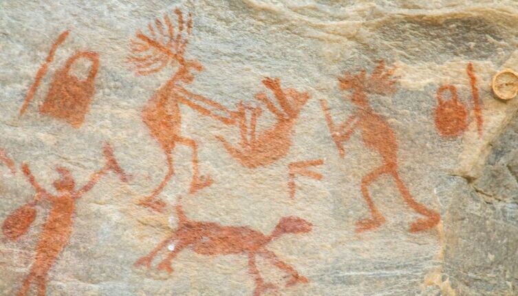     Фото: Vitor Paladini on Unsplash