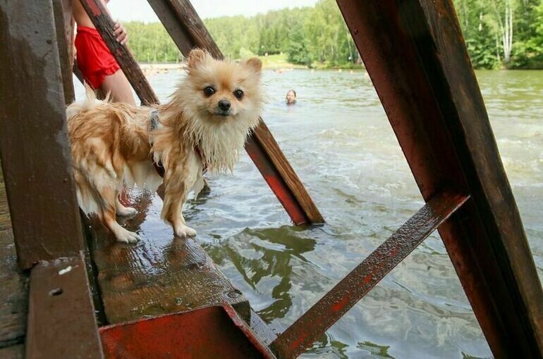   Василий Кузьмичёнок / Агентство "Москва"