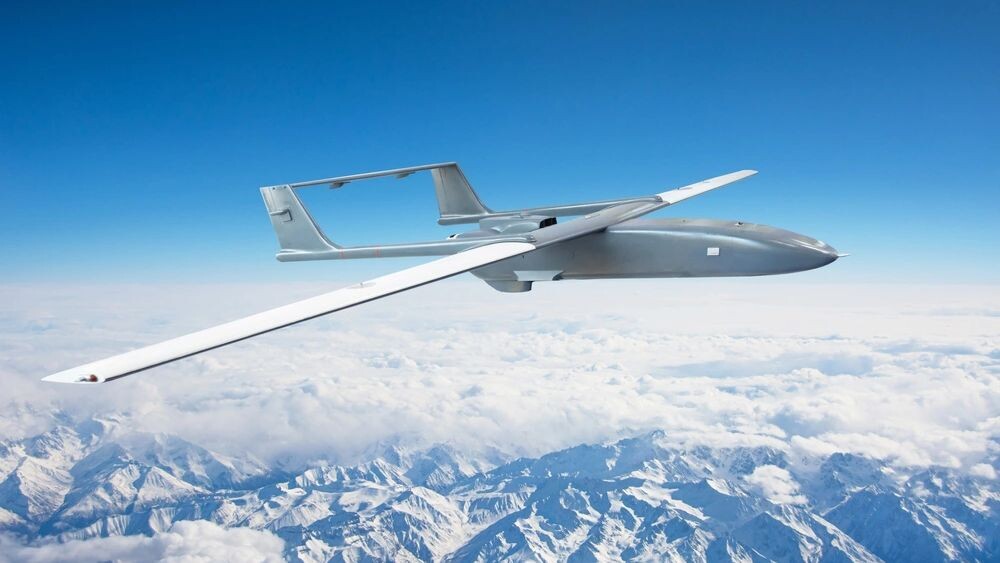    Фото: aapsky/Shutterstock/Fotodom