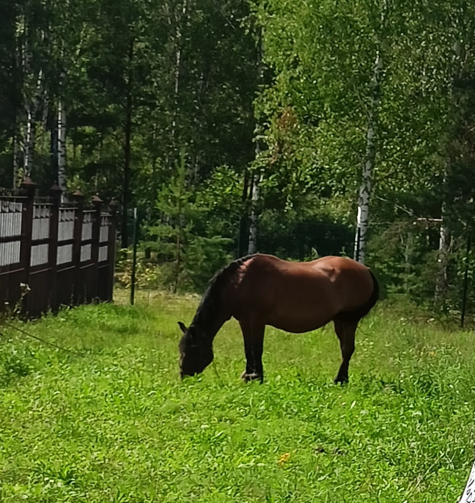 Красавец!!!❤️
