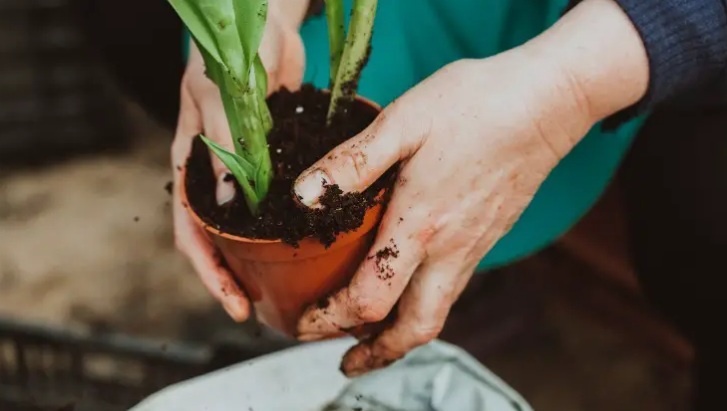 как удобрение сделать самому