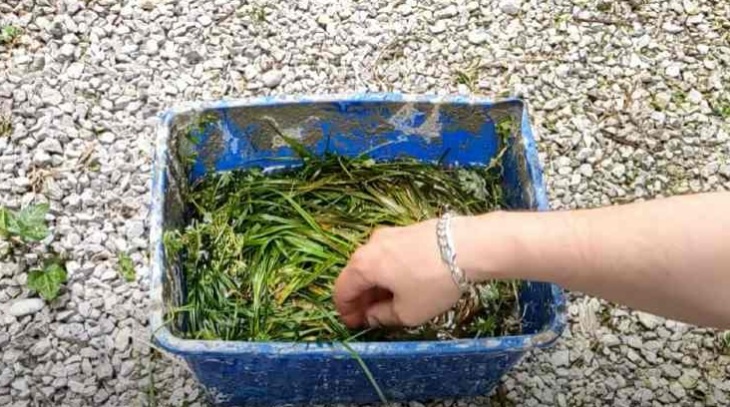 советы по удобрению