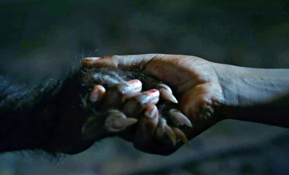 Кадр из самого малоизвестного в нашем списке фильма ужасов про оборотней - Хорошие манеры