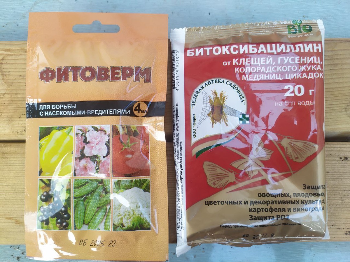 Препараты от паутинного клеща с разным действующим веществом