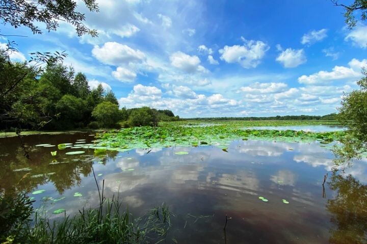    Фото:Елена Барабанова
