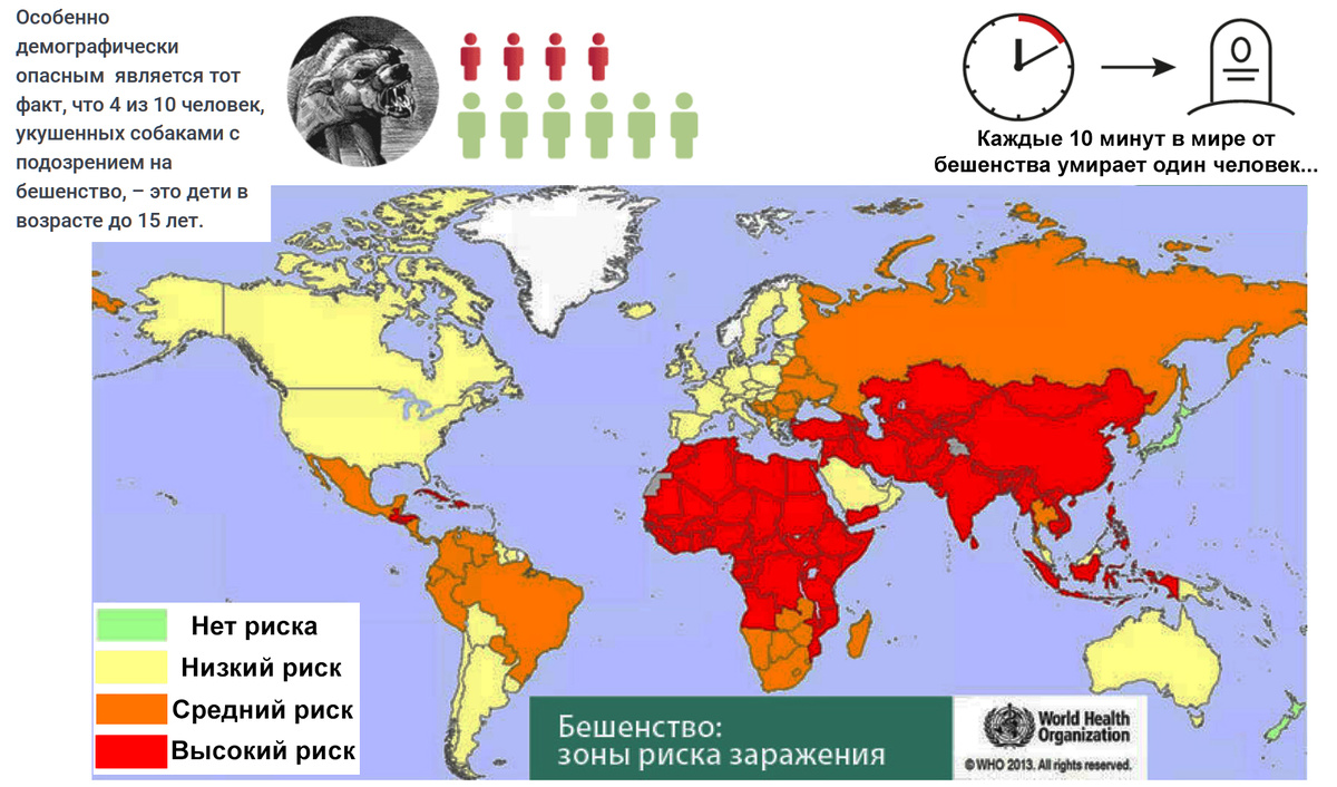 Рисунок 12. Карта распространения бешенства в мире по данным ВОЗ на 2013 год (изображение из Интернета).