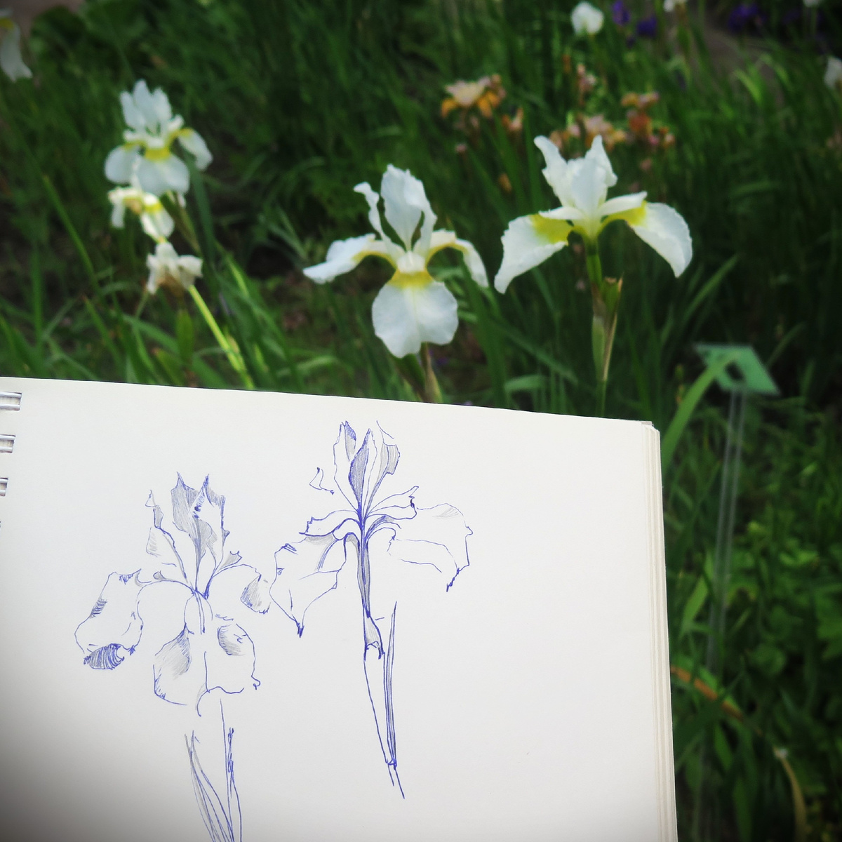 2 июля 2025. Санкт-Петербург.