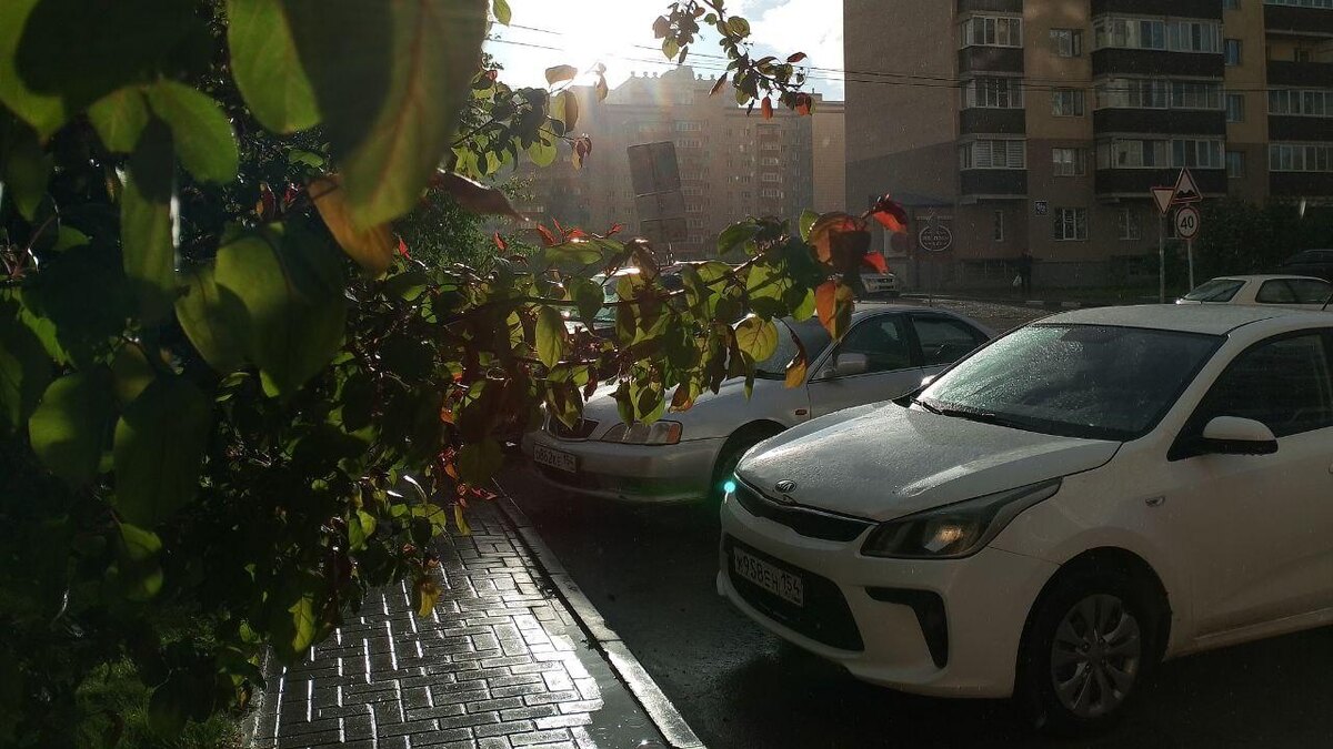    Фото: Горсайт