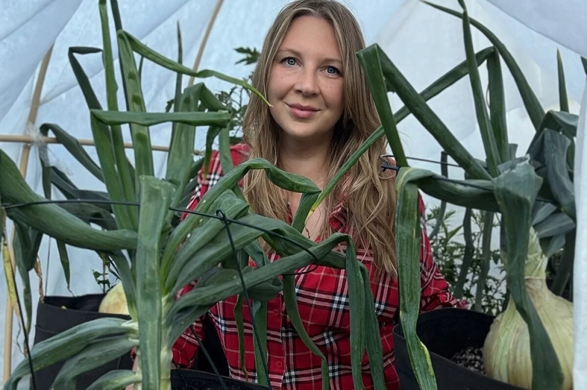    Алина рассказала, как вырастить гигантский лук и свёклу.