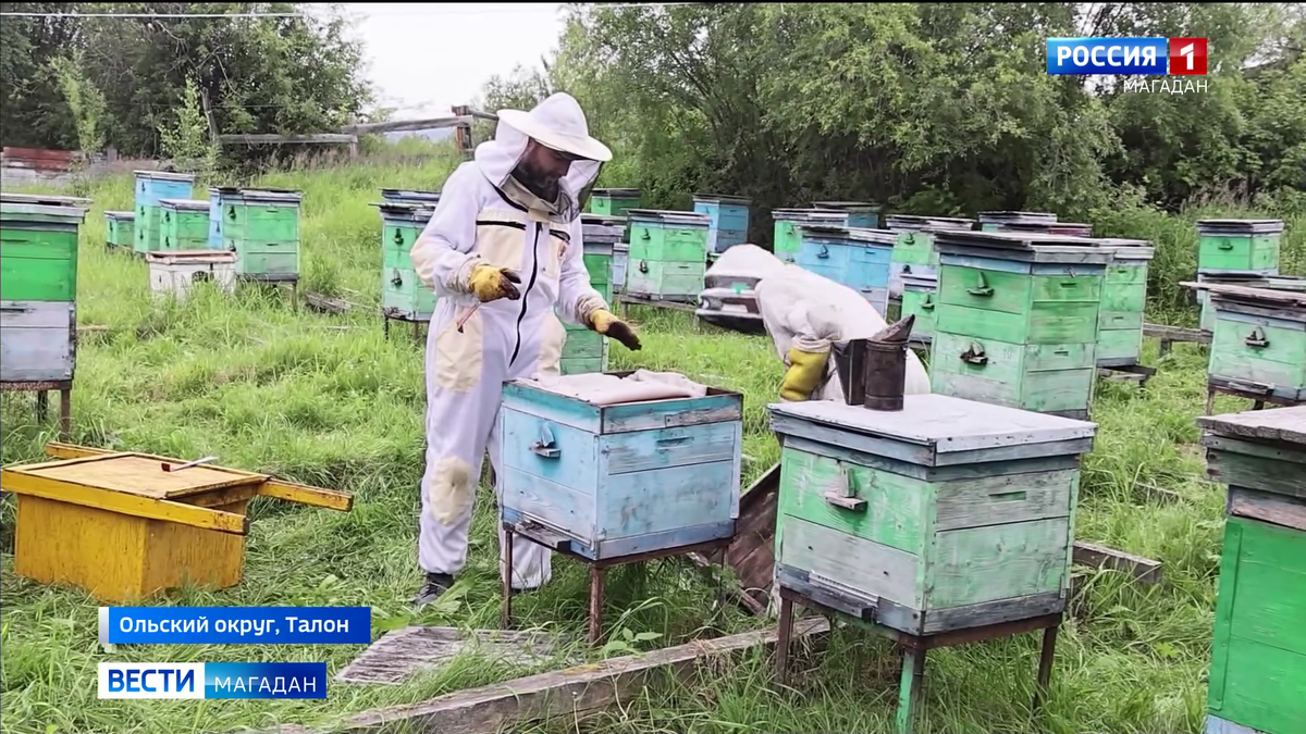   Фото: скриншот сюжета “Вести-Магадан”