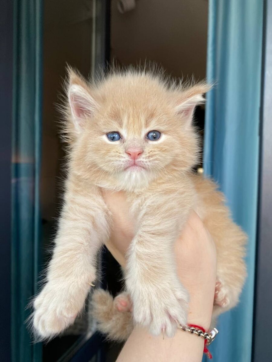 Фото из личного архива.