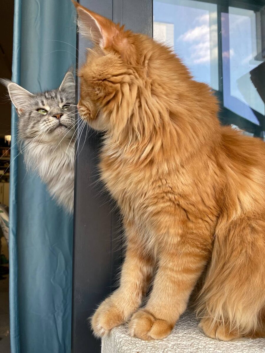 Фото из личного архива. 