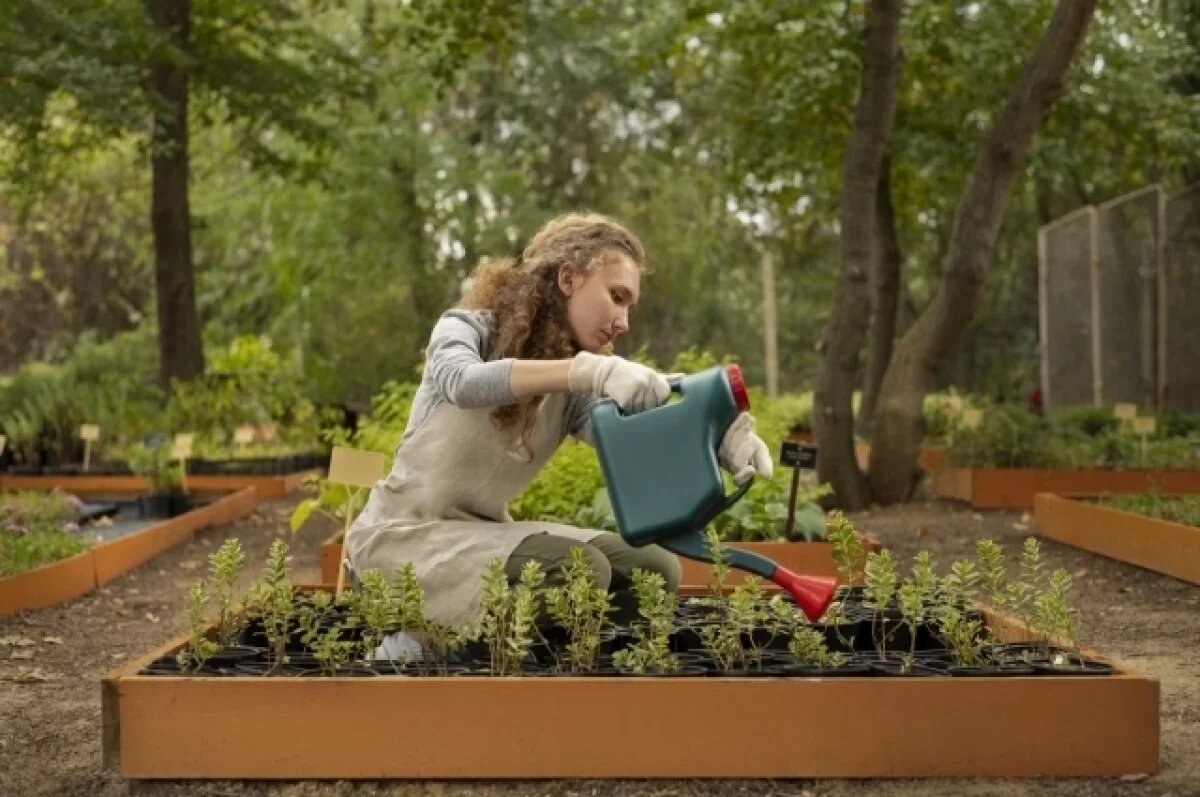    Чтобы не болела спина.