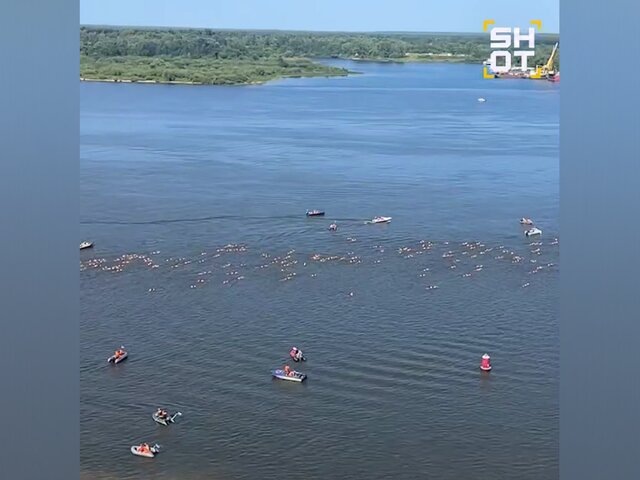    Фото: телеграм-канал SHOT