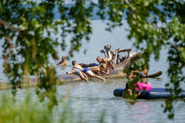    Фото Андрея Заржецкого