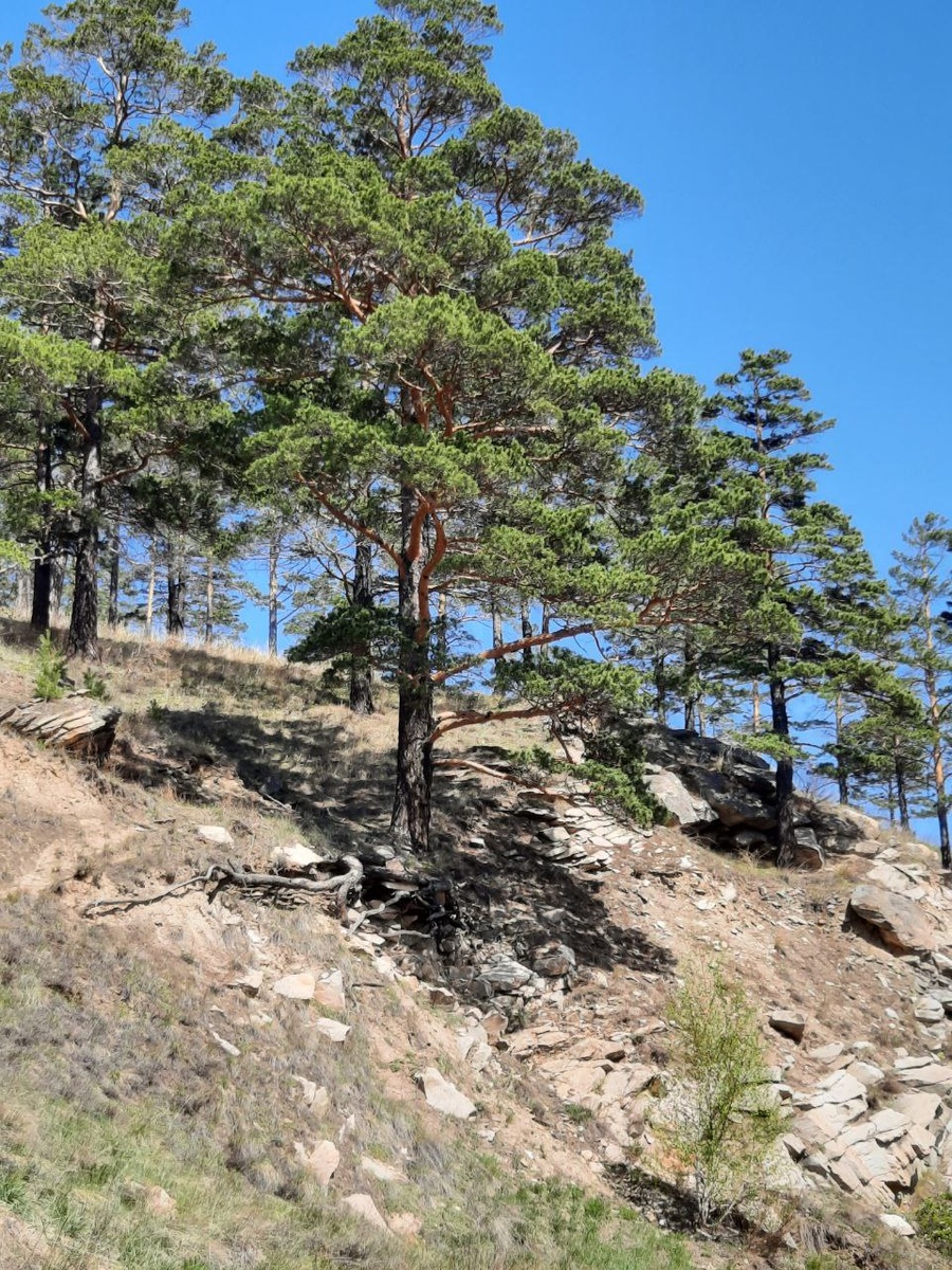 Фото автора.