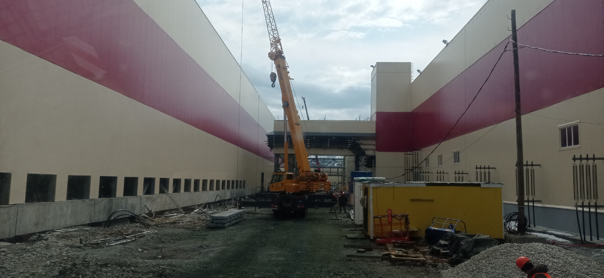 Закон джунглей: каждый сам за себя