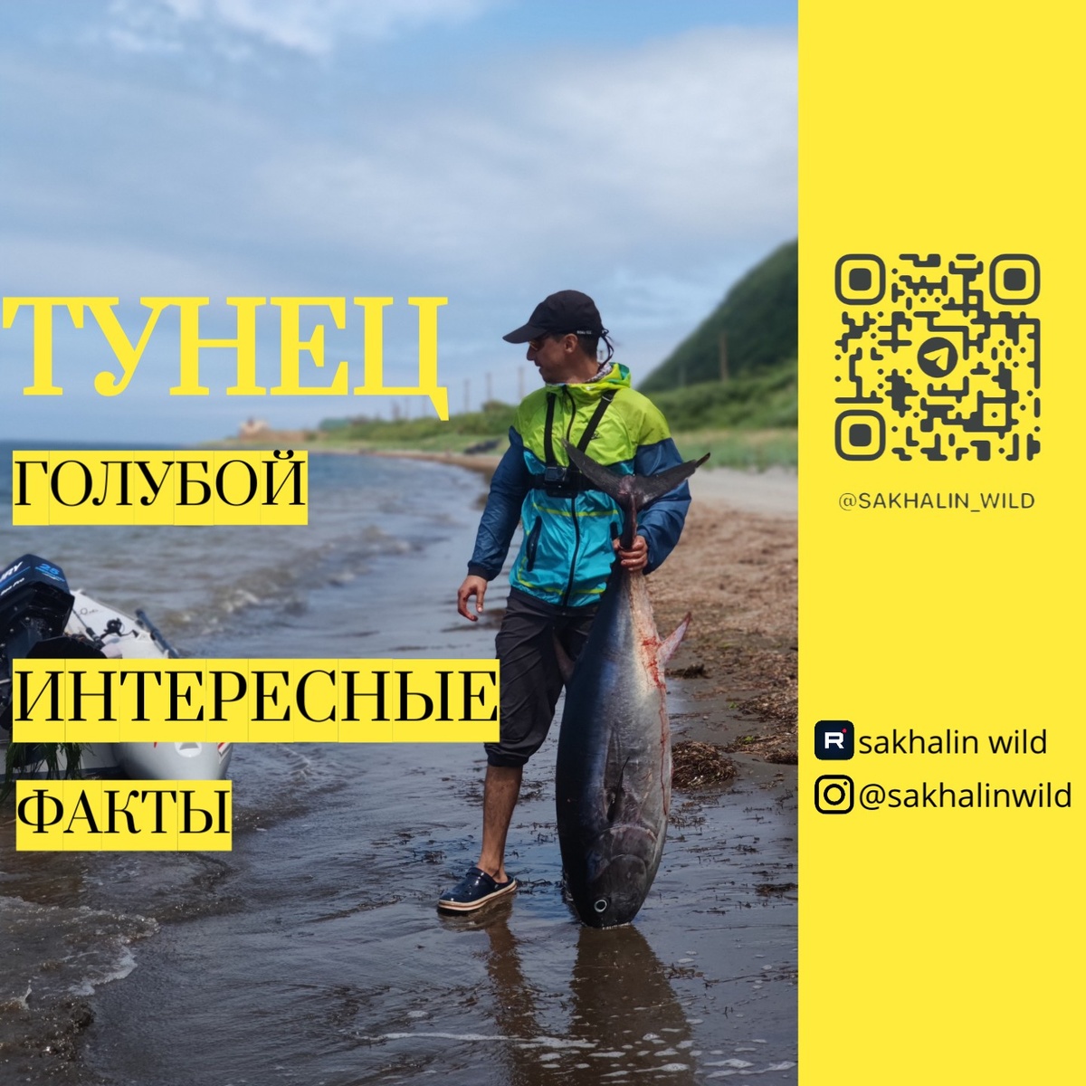 Sakhalinwild - Ваш проводник в дикую природу Сахалина.