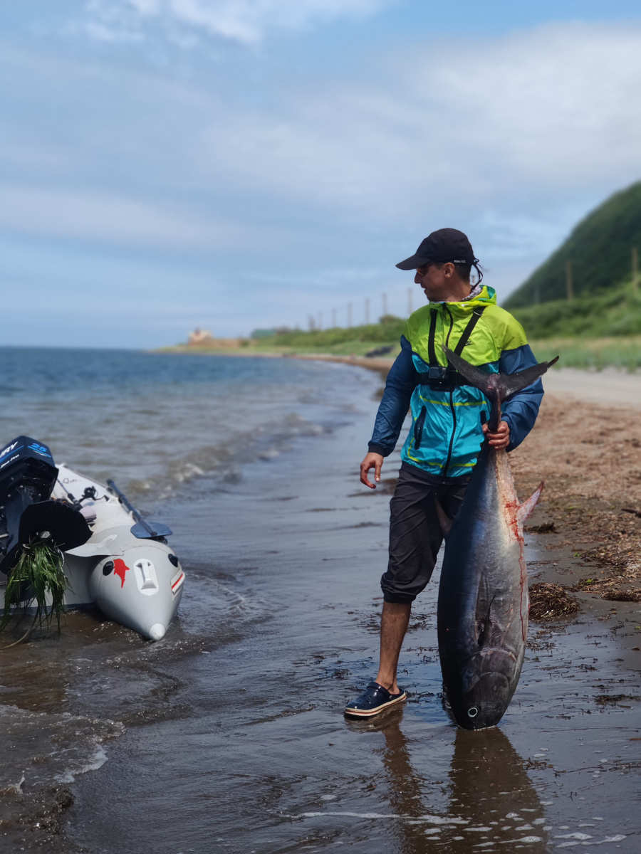 Голубой тунец на 50кг