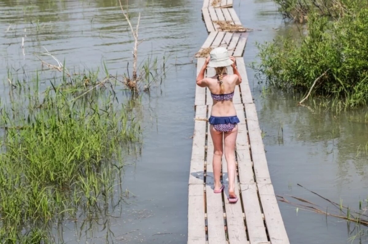    МЧС предупреждает новосибирцев о рисках при жаре выше 30 градусов