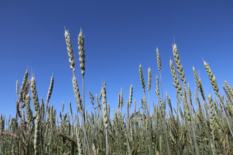    Фото редакции