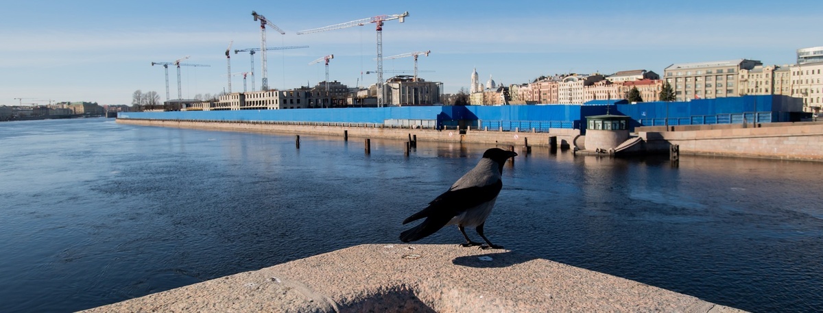    Автор фото: Сергей Ермохин / "ДП"