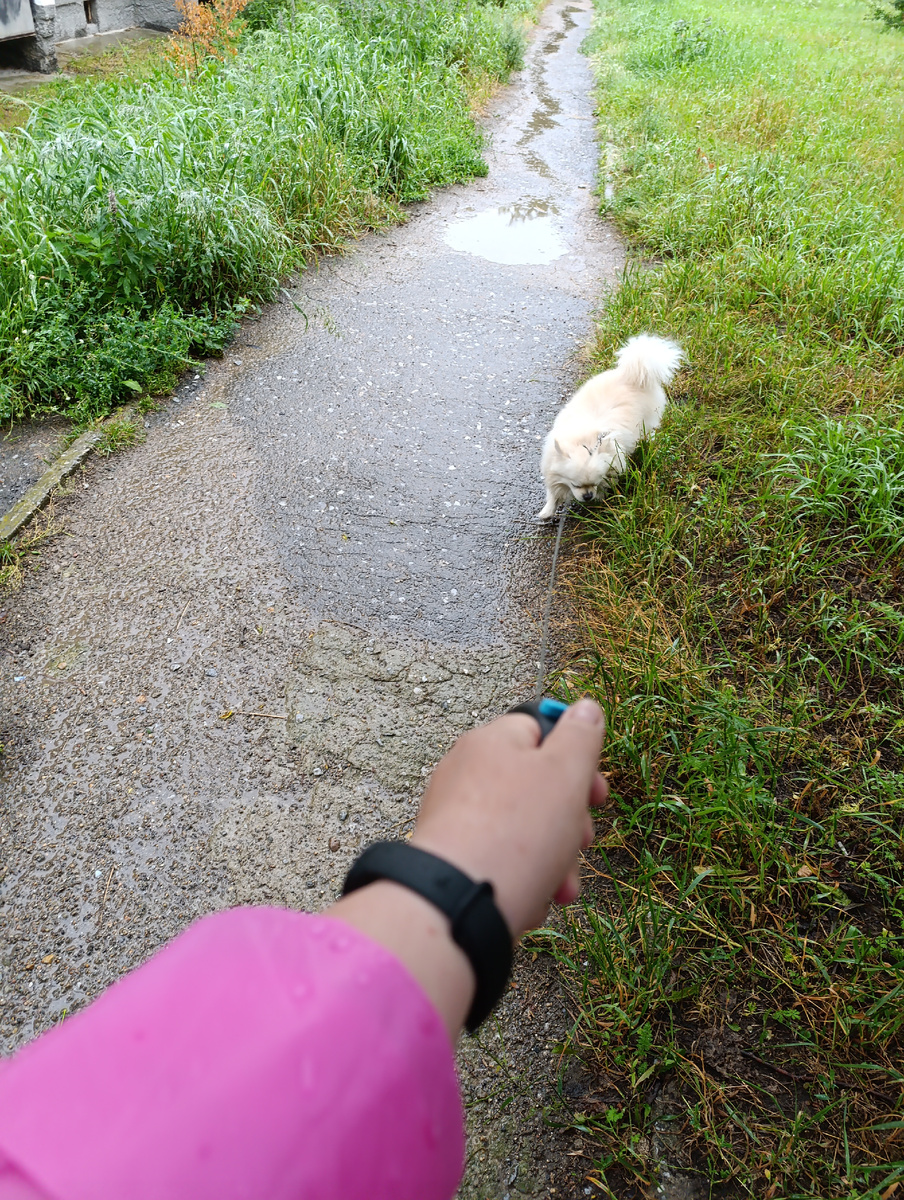 Фото автора 