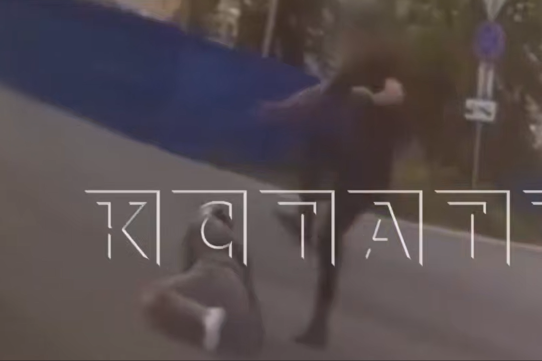 Скриншот видео