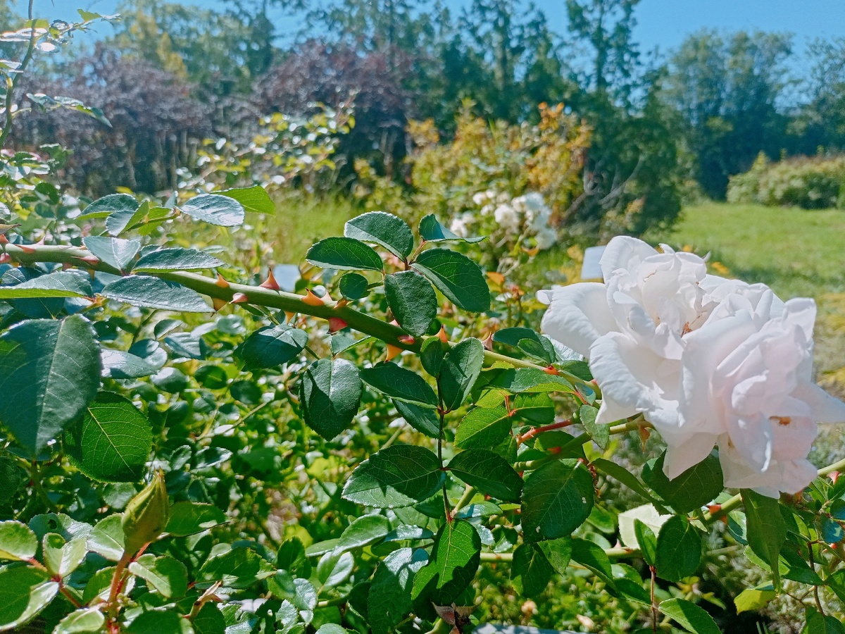    архив samaraonline24