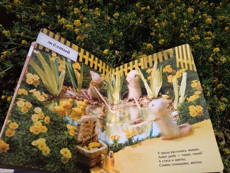  Выберите изображение