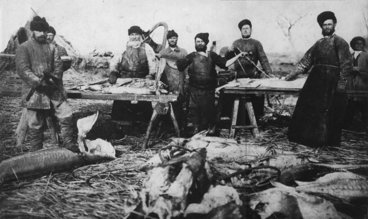Рыбацкая артель уральских казаков (город Гурьев). 