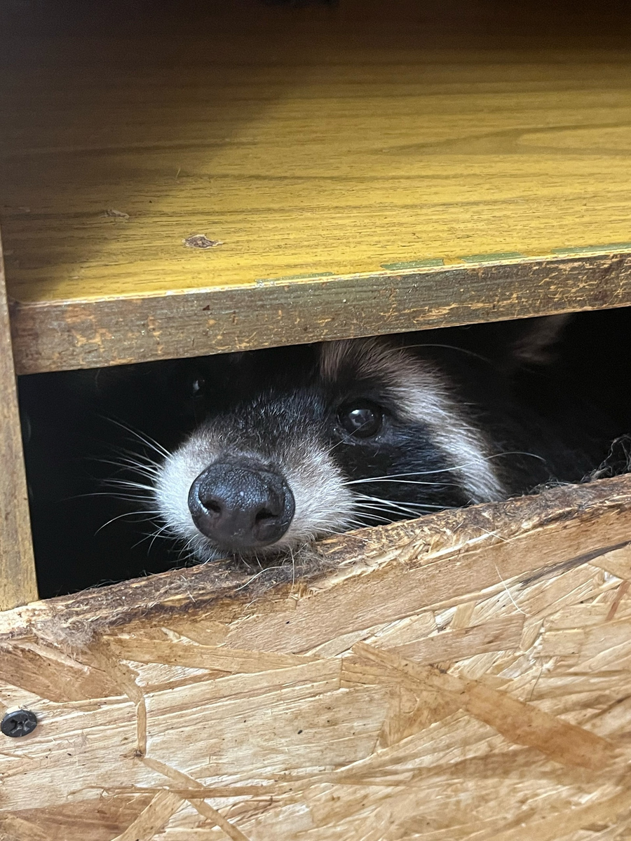 Листай галерею