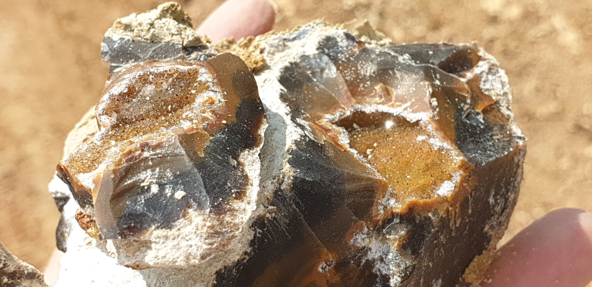 Находка в кювете дороги, ведущей от отвалов карьера. Фото автора