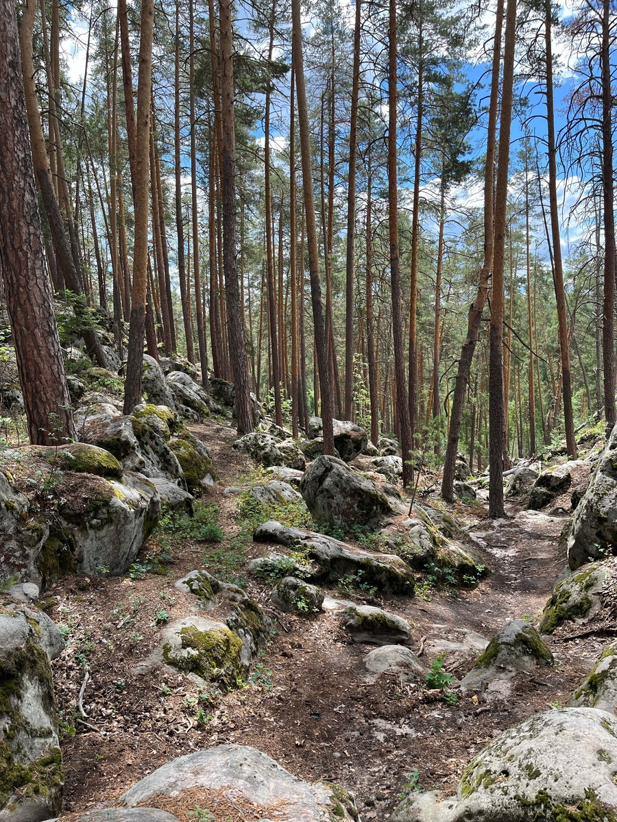 Листай галерю