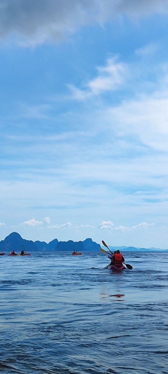 Вышли из мангров в море