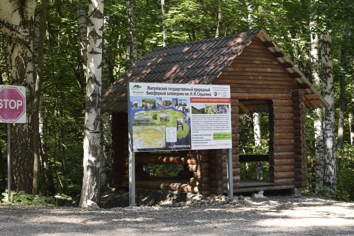 Листай галерю