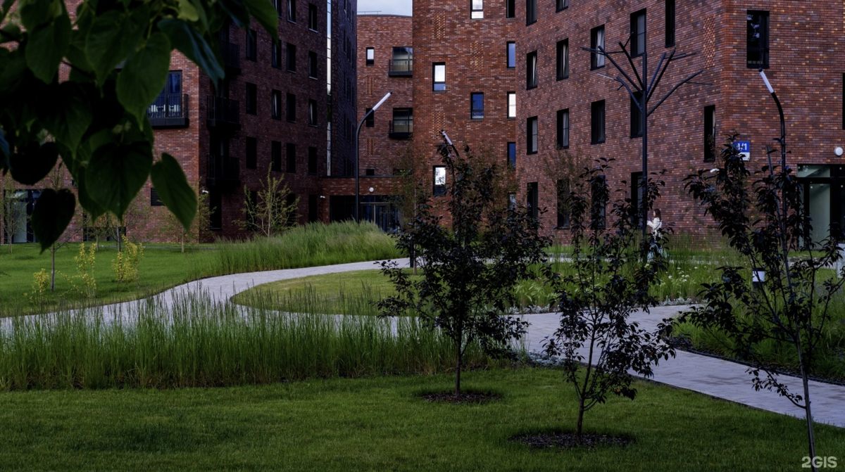 Общежития НГУ