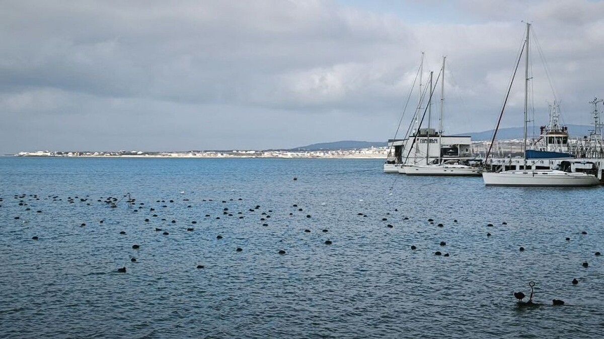    Фото: телеканал «Краснодар»