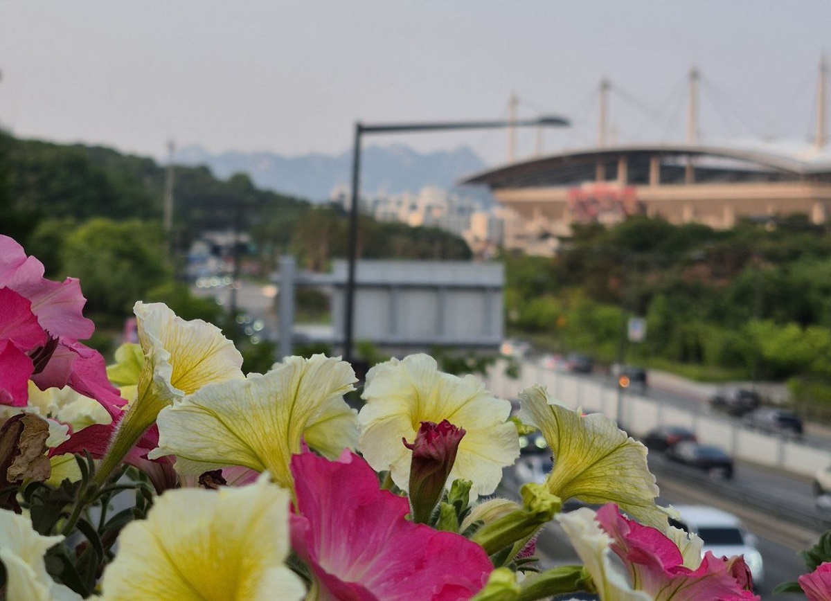 Вид на стадион Кубка мира в Сеуле