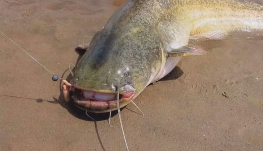 Взято из Яндекс Картинки