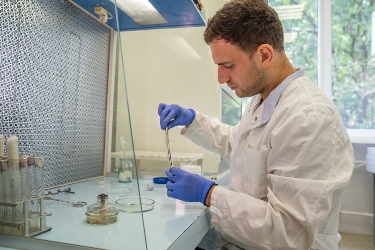    Фото: пресс-служба Субтропического научного центра РАН