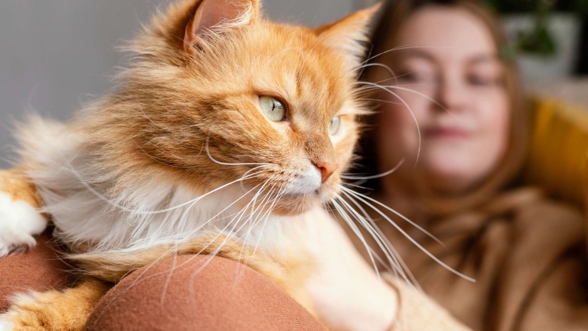 Друг ли вы вашей кошке?