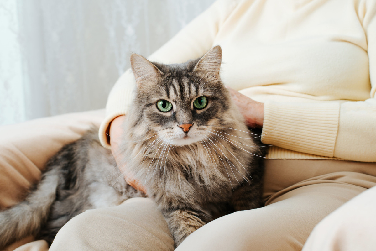 А вы уверены что эта связь есть?