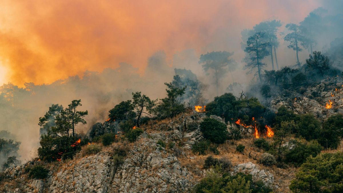    Фото: Getty images