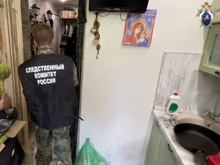     Фото: Пресс-служба ГСУ СК по Санкт-Петербургу и Ленобласти.