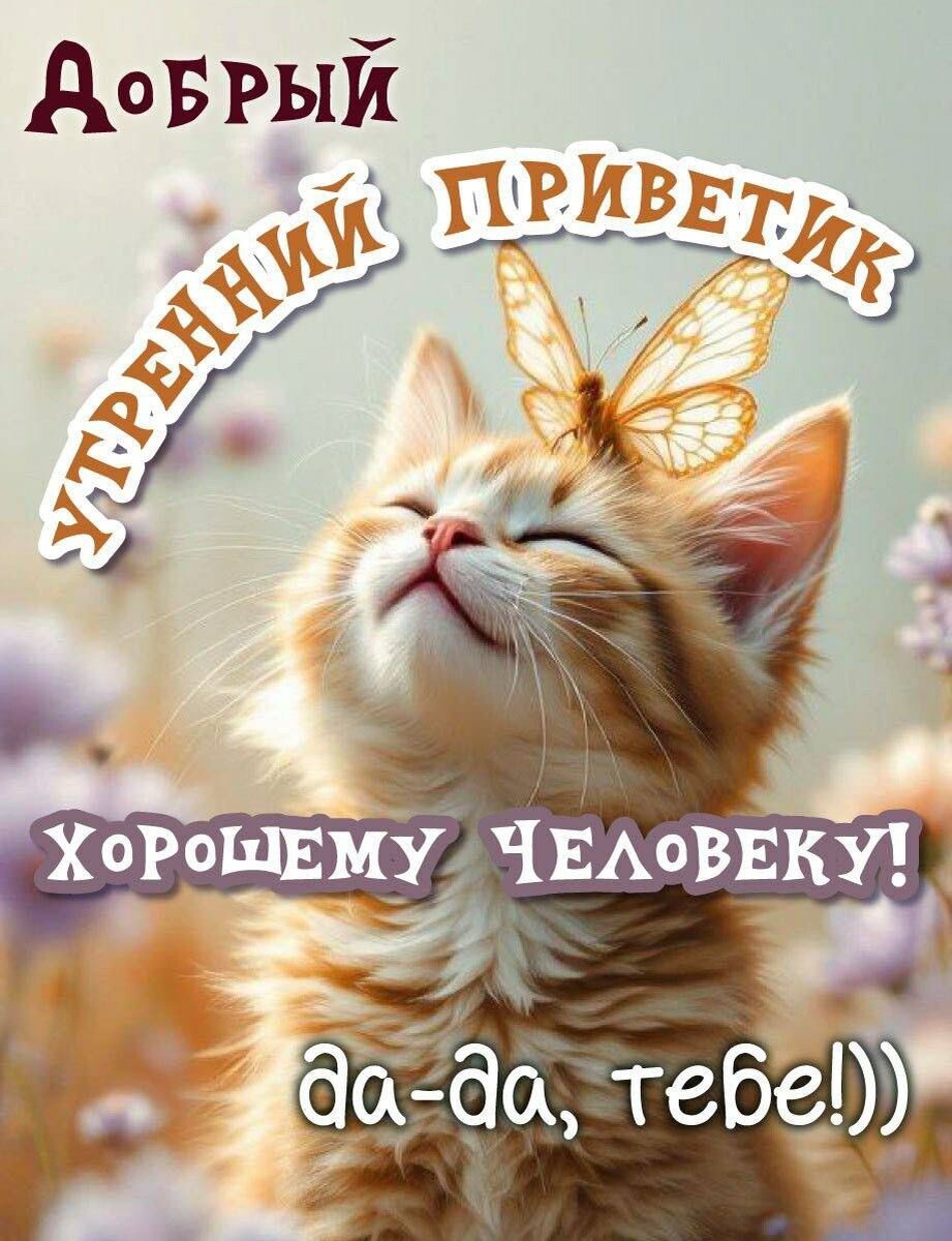 Фото из интернета. 