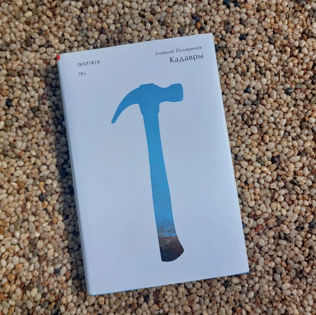 Фото: Козынцева У.