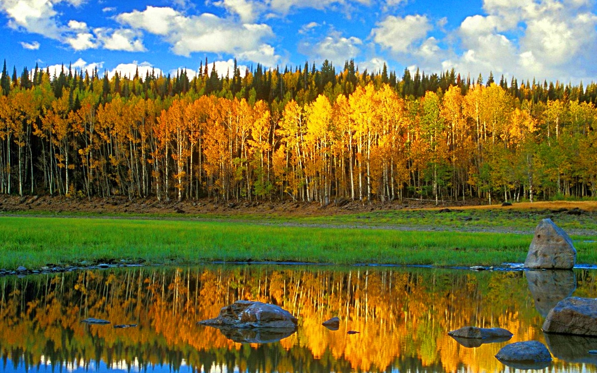 Фото из интернета.