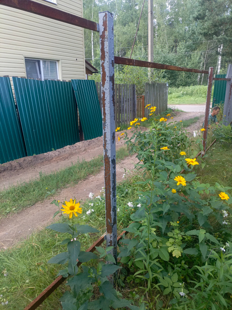 Сняли профнастил